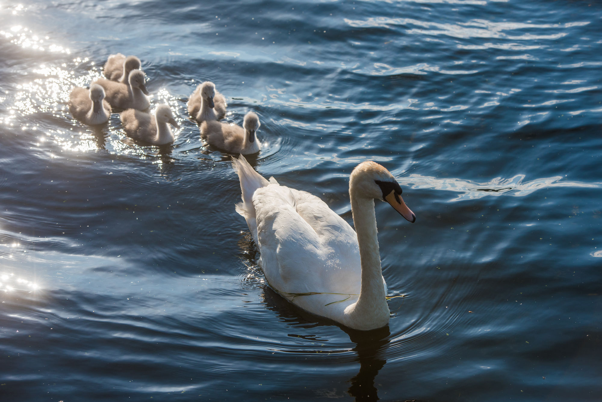 Lough Erne Resort Enniskillen Ngoại thất bức ảnh